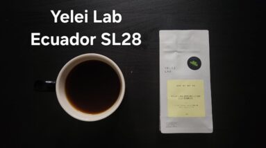Yelei Lab Coffee Review (Shanghai, China)- Washed Ecuador El Dorado Lot 2
