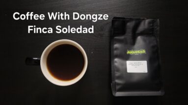 Coffee With Dongze Review (Berkeley, California)- TyOxidator Washed Ecuador Finca Soledad