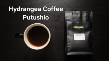 Hydrangea Coffee Review (Berkeley, CA)- Washed Ecuador Putushio