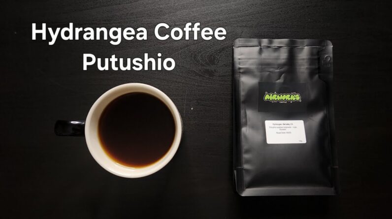 Hydrangea Coffee Review (Berkeley, CA)- Washed Ecuador Putushio