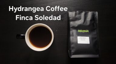 Hydrangea Coffee Roasters Review (Laramie, Wyoming)- TyOxidator Washed Ecuador Finca Soledad