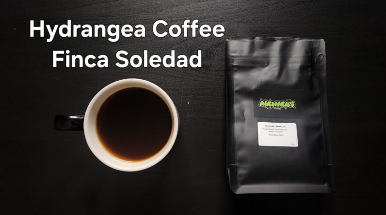Hydrangea Coffee Roasters Review (Laramie, Wyoming)- TyOxidator Washed Ecuador Finca Soledad