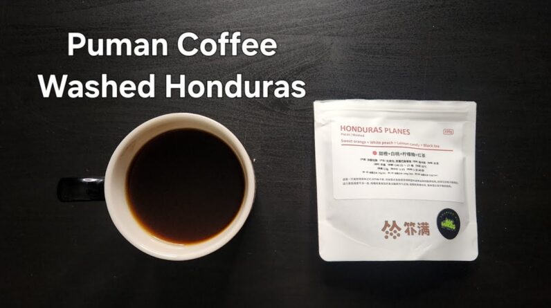 Puman Coffee Review (Chengdu, China)- Washed Honduras Planes