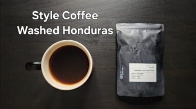 Style Coffee Review (Kyoto, Japan)- Washed Honduras Juan Carlos Juarez