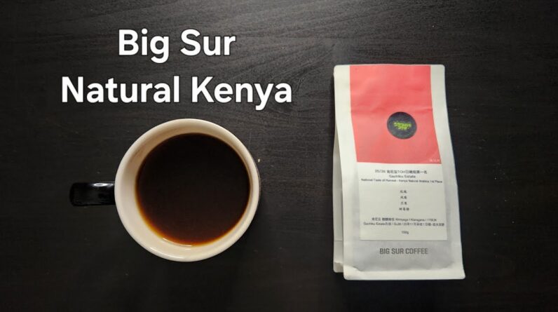 Big Sur Coffee Review (Shanghai, China)- Natural Kenya Gachiku Estate