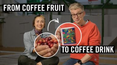 Coffee Fermentation Explained!