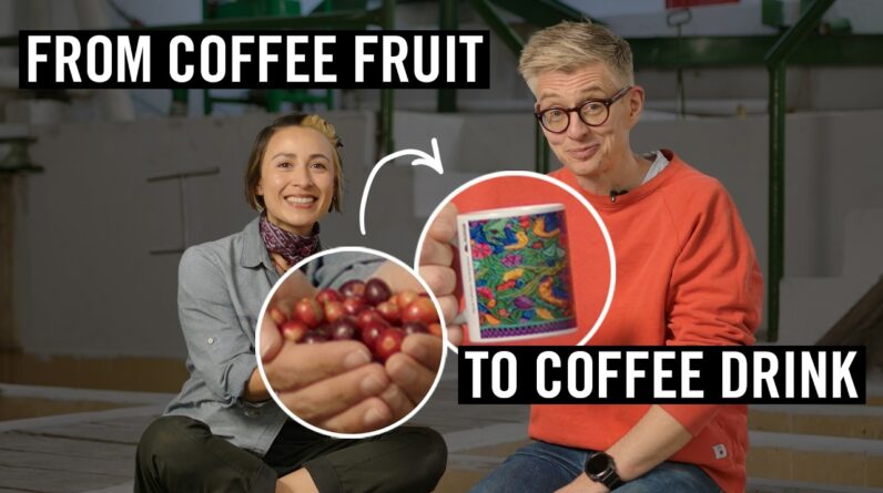 Coffee Fermentation Explained!