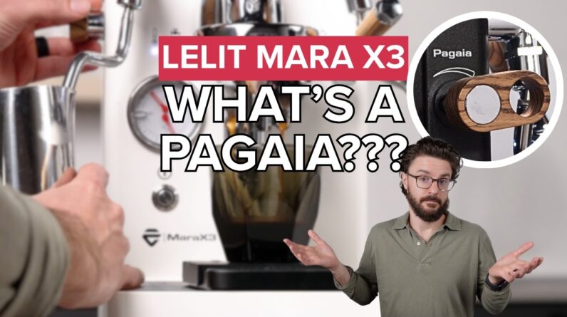 LELIT Mara X3 Espresso Machine: Full Review & Pagaia Explained