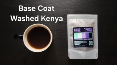 Base Coat Coffee Review (Portland, Oregon)- Washed Kenya Kihuyo AA