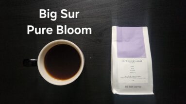 Big Sur Coffee Review (Shanghai, China)- Washed Colombia Pure Bloom