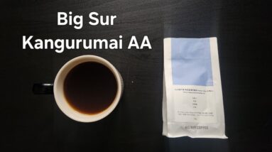 Big Sur Coffee Review (Shanghai, China)- Washed Kenya Kangurumai AA