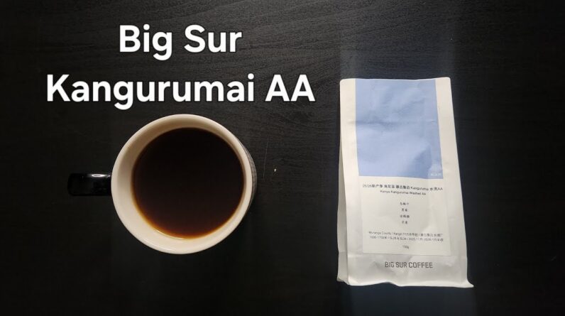 Big Sur Coffee Review (Shanghai, China)- Washed Kenya Kangurumai AA
