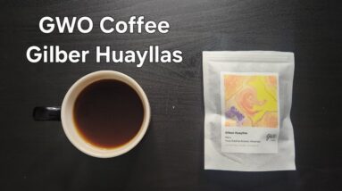 GWO Coffee Review (Eindhoven, Netherlands)- Anaerobic Washed Peru Gilber Huayllas