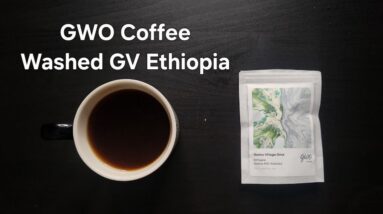 GWO Coffee Review (Eindhoven, Netherlands)- Washed Ethiopia Gesha Village Oma Lot 26/134