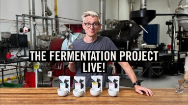LIVE! The Fermentation Project Global Tasting