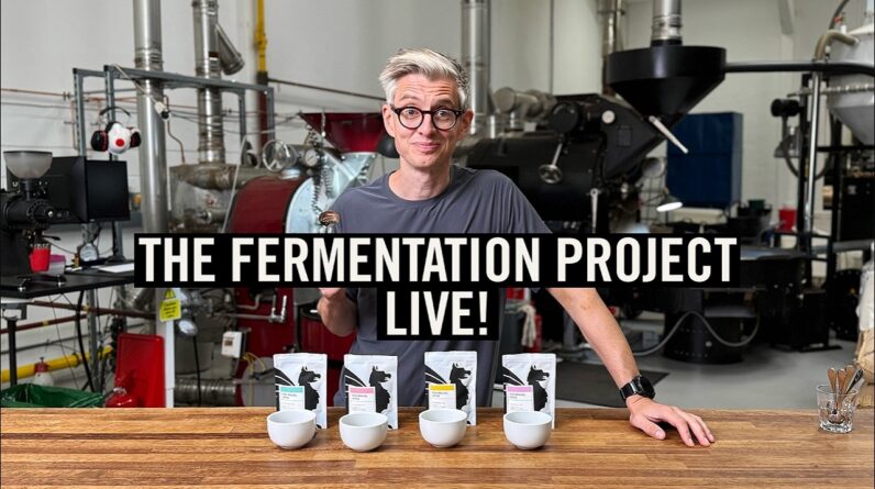 LIVE! The Fermentation Project Global Tasting