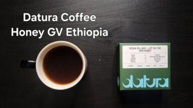 Datura Coffee Review (Paris, France)- Honey Ethiopia Gesha Village OMA 26/136